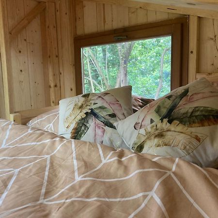 Tiny Resort Chotevice 1 Kottwitz Экстерьер фото